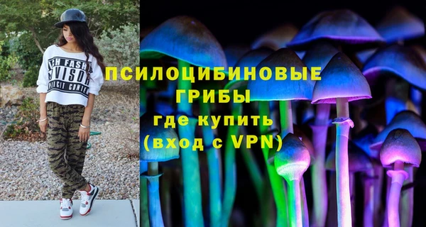 крисы Балахна