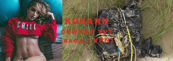 крисы Балахна